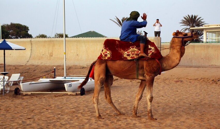 Top 10 reasons to travel to Agadir